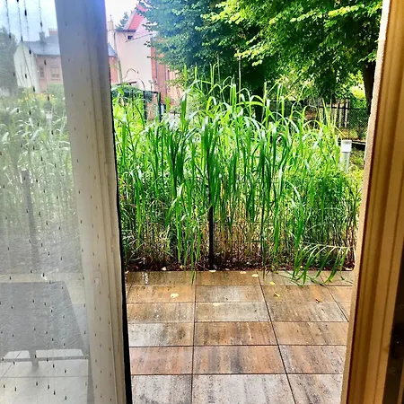 Przy Starowce Z Tarasem إيبلاغ