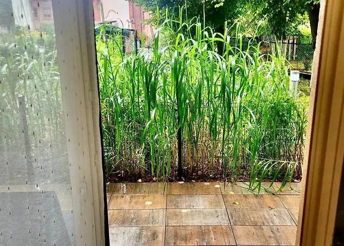 Przy Starówce Z Tarasem Elbląg